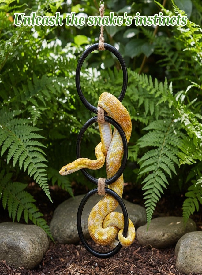 Zelphvt Snake Climbing Rings, Ball Python Tank Accessories, Reptile Enrichment Toys, Corn Snake Playground Climbing Toy for Bearded Dragon,Chameleon,Iguana,Gecko,Lizard 4.3 Inch Diameter, Black - Image 3